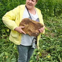 Вот из таких камней строили дома