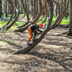 Исследователь Пьяного леса